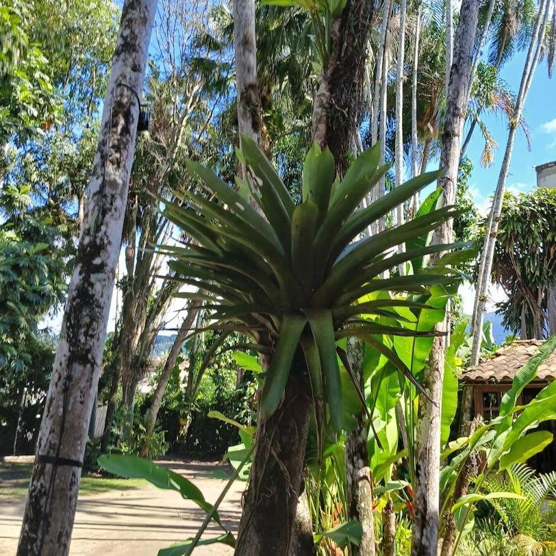 Villa Dos Passaros Paraty Hospedagem Exterior foto